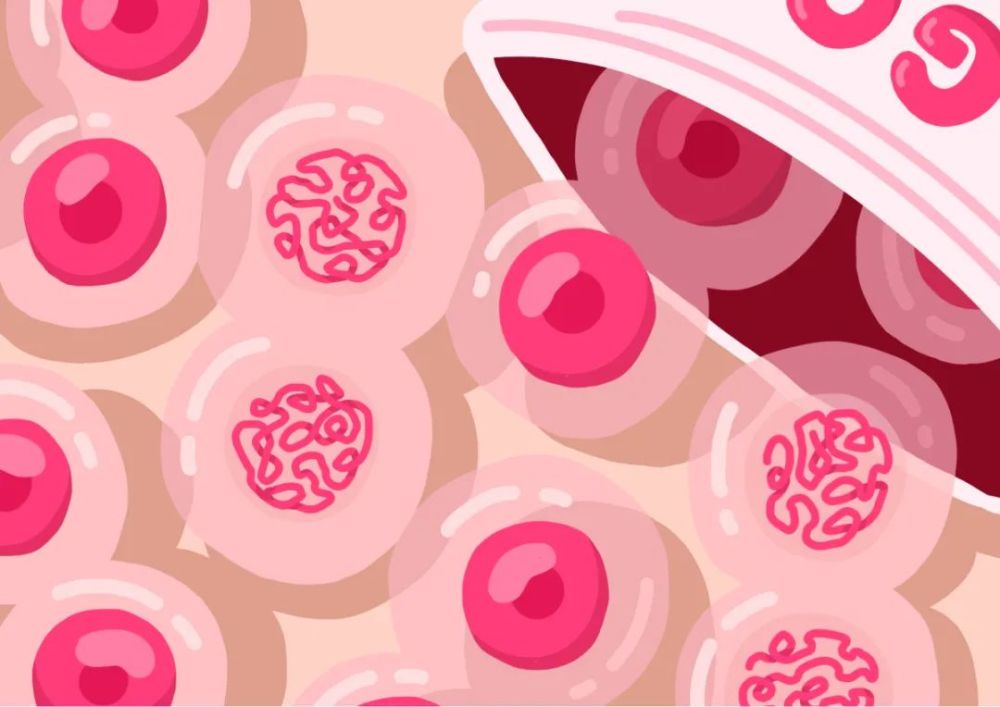 这是一种细胞状的软糖,里面带有草莓和覆盆子味的核.