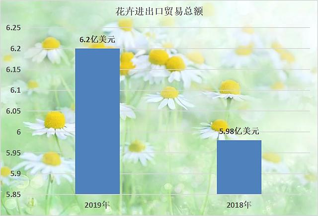 2020-2024年中国花卉市场发展预测分析