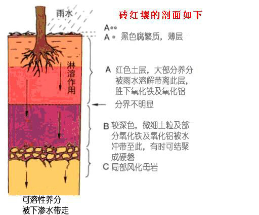 非洲农业不发达是因为人懒根源并不在此