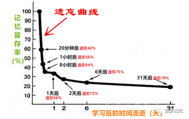 如何根據遺忘曲線規律安排學習和複習提高記憶效率