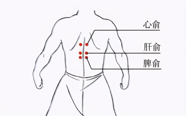 背部,第9胸椎棘突下,旁开1.5寸处,有一个穴位:肝俞穴. 肝,肝脏也.