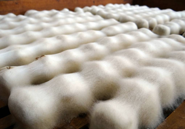 易长毛的豆腐是徽州最地道的美味