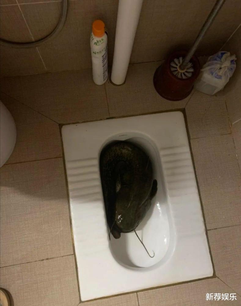 你以为女生的肚子真的瘦吗大错特错一坐就全暴露了哈哈哈哈