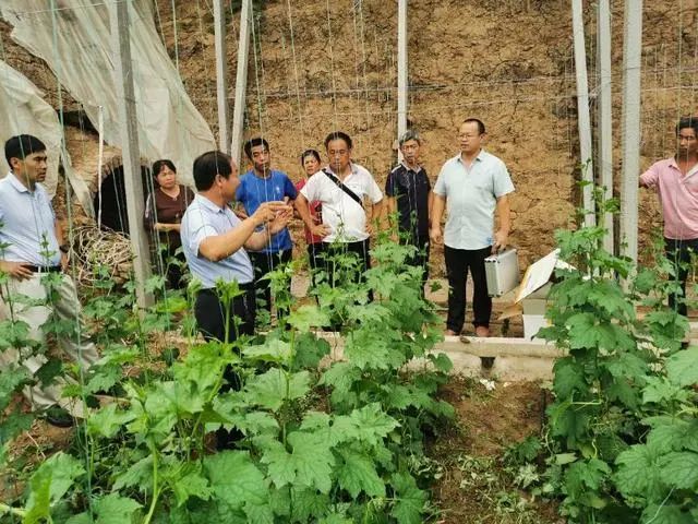 自己学完,又带来50多个农民学员在潍坊昌乐,刘仁增的润源瓜菜专业