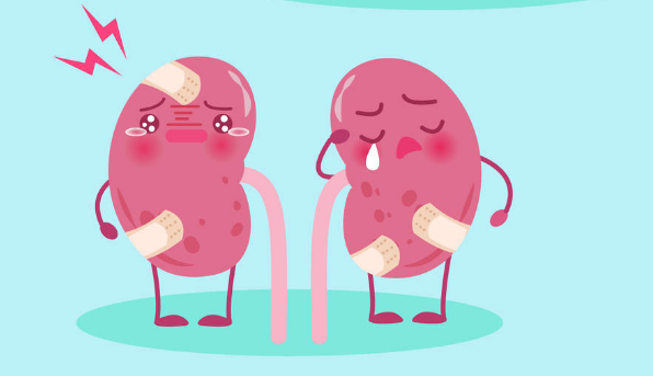 肾不好远一红近二黑改三习做四勤动五处肾越来越好