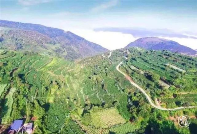 禄劝马鞍桥村:穷山沟里上演"甜蜜"故事!