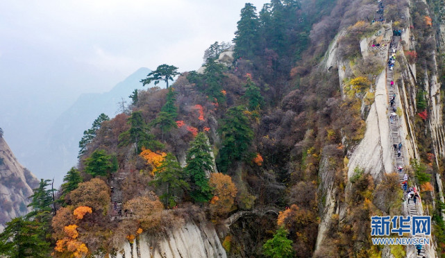 无人机视角下的陕西华山秋景千古文人侠客梦,绮丽雄浑梦华山.