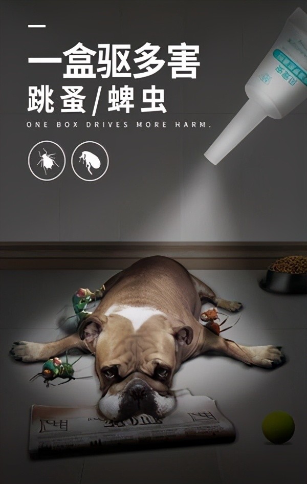 狗狗如何预防寄生虫?宠物驱虫离不开雷米高贝宠安