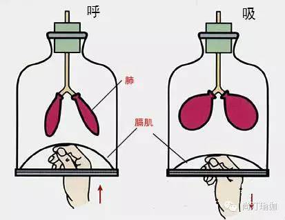 尚汀瑜伽讲堂详解瑜伽腹式呼吸