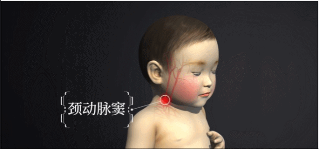 大家要知道,脖子上有颈动脉窦, 若不小心被压到, 可发生压力感受性