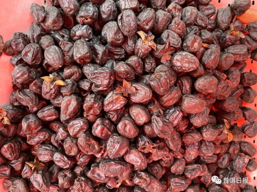 云果普洱人秋天的这一把野果可以吃起来了