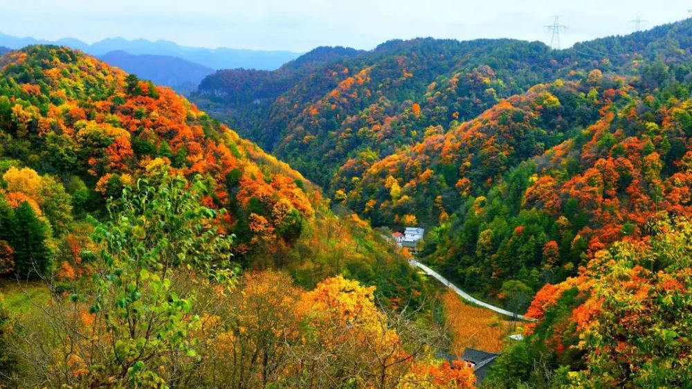 秋天的大地图片大全图片