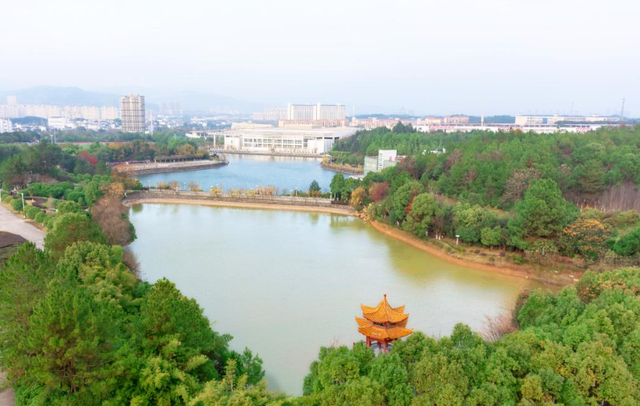 江西二本大学分排名_江西二本大学排名及2020年录取分数线共计