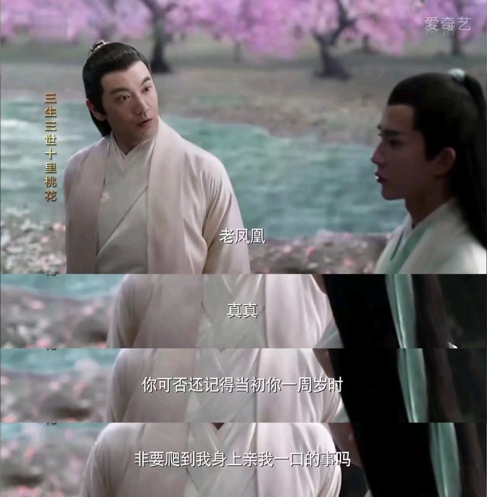 凤九白浅先后被催婚为何没人催白真成婚不止是因为折颜