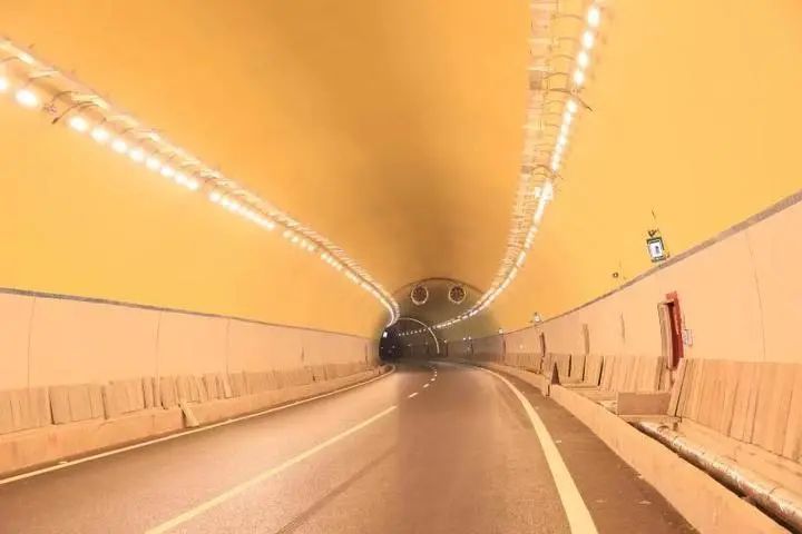 浙江这条高颜值隧道"亮了"