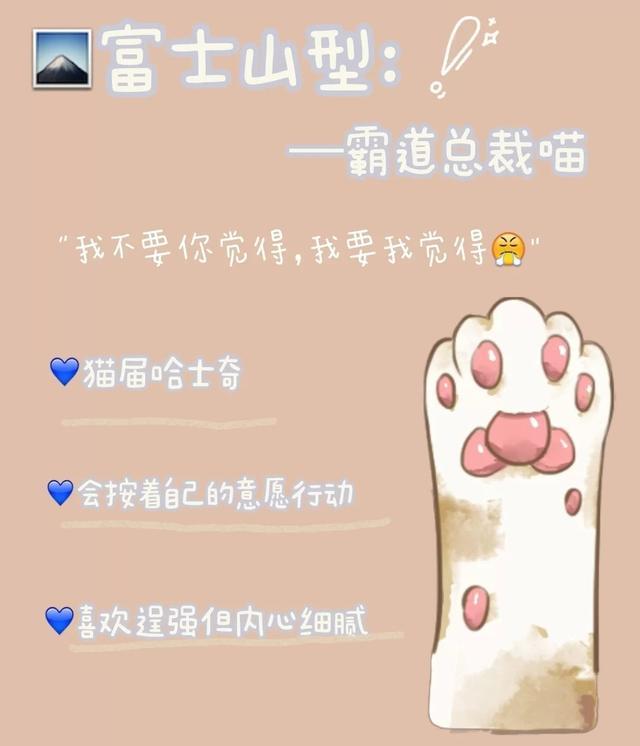 超准 猫咪的5种肉垫 代表不同的性格 猫咪 肉垫 肉球