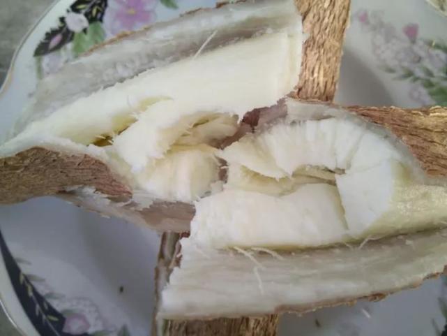 木薯|植物|亚麻