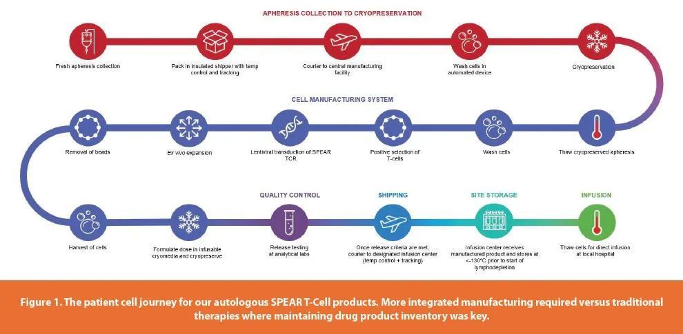 自体免疫细胞 T细胞疗法生产概述 腾讯新闻