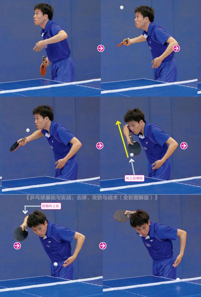 实战发球套路多，正反手发上旋球图文讲解!-乒乓国球汇