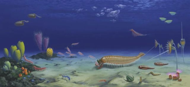 中国科学家发现5亿年前的奇妙动物网友四不像