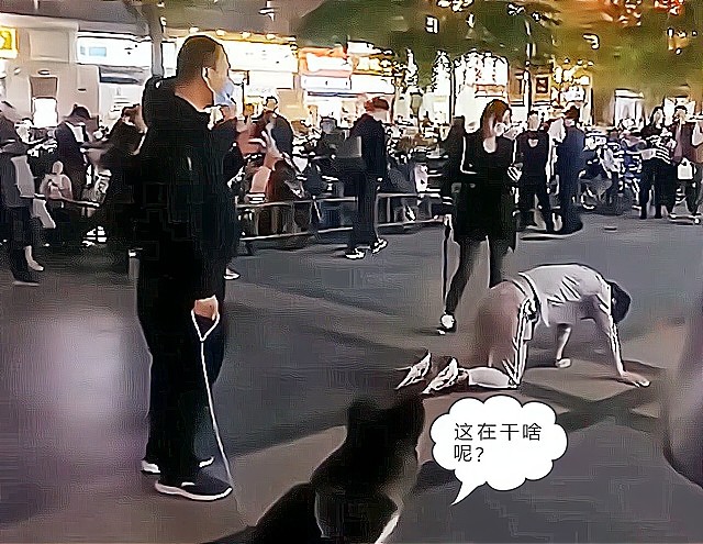 河南郑州男子跪爬哭诉女友被害演技逼真令人动容警方通报