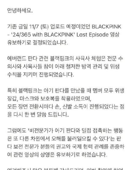 带妆抱熊猫被骂blackpink回应了网友道歉很难吗