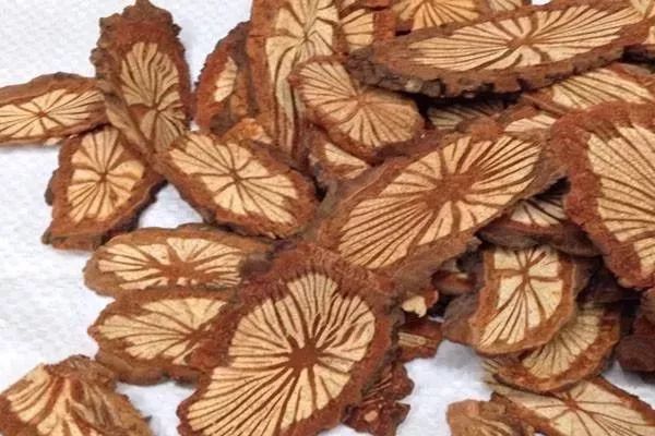 民间草药活血藤