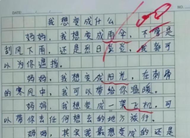 小学生满分作文我想变成什么火了老师被感动眼泪都出来了