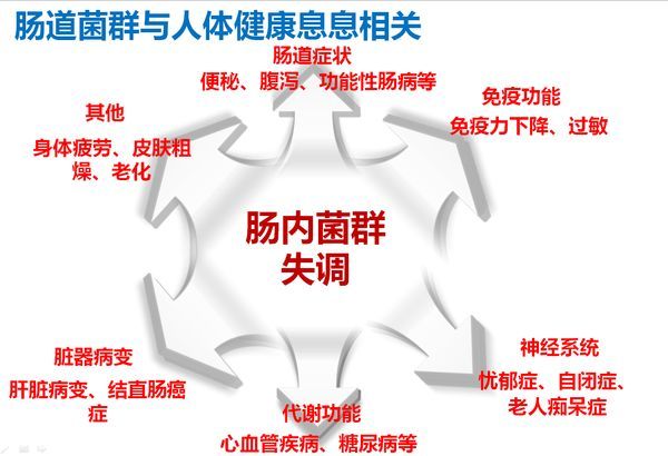 清除肠道毒素就是这些普通的食物