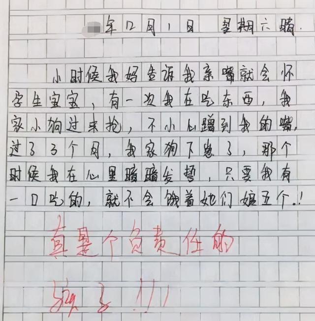 小學生作文只有9個字老師卻給了100分太有才不給滿分不合適