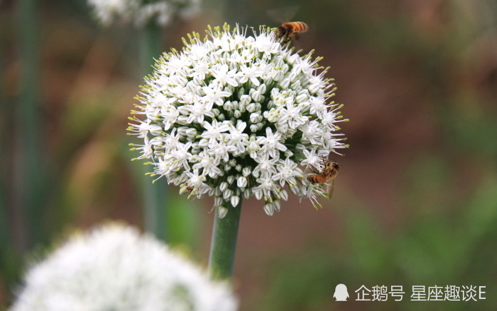 11月8日星座运势 邂逅贵人 旗开得胜的四大星座 腾讯新闻