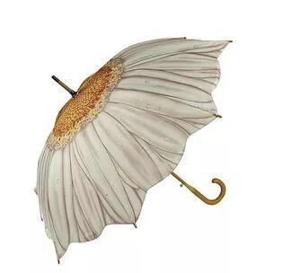 设计师设计的奇奇怪怪的伞