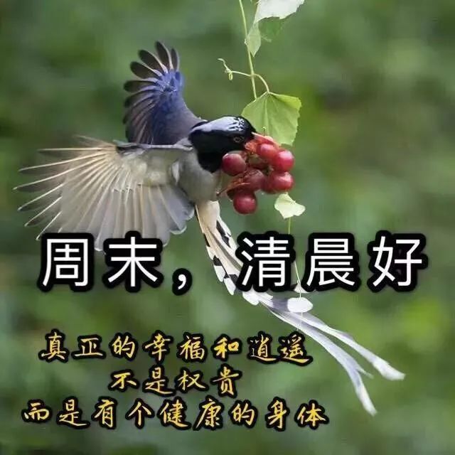 11月28日星期天清晨早上好问候祝福动态表情图片11月早安问候祝福图片