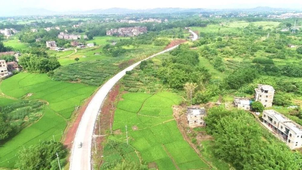 普大喜奔桂平这条公路终于正式通车