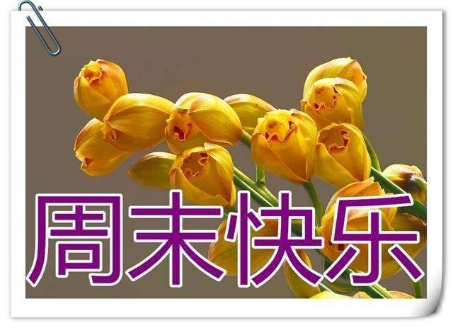 冬天周末早安天冷温馨祝福语冬天下雪了早上好动态图片鲜花表情图片暖