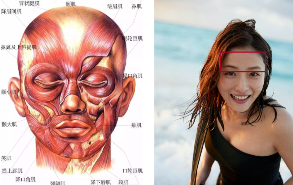 恰到好处的笑容也可以把嘴凸内收,唇形模糊,比例重造.