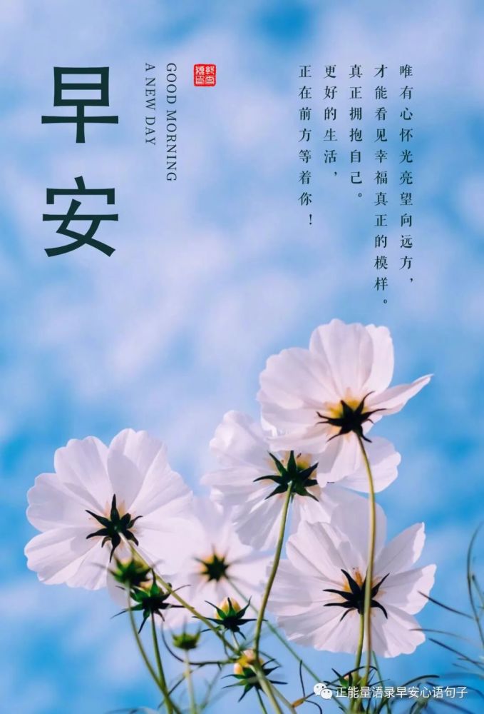12月1日早安心语十二月你好正能量句子积极向上阳光励志短语