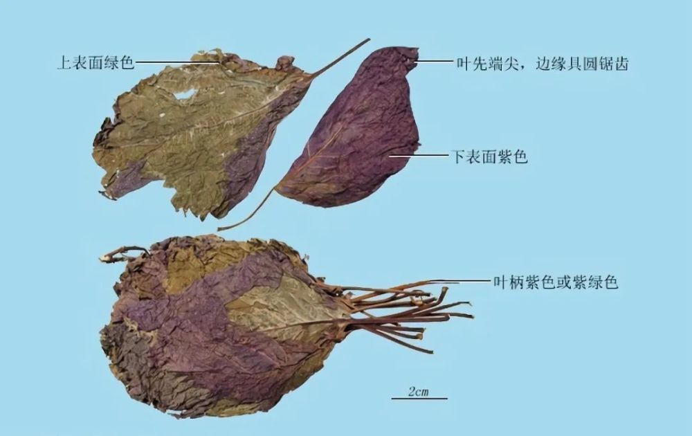 清风典历|孤贫悲恨意无穷