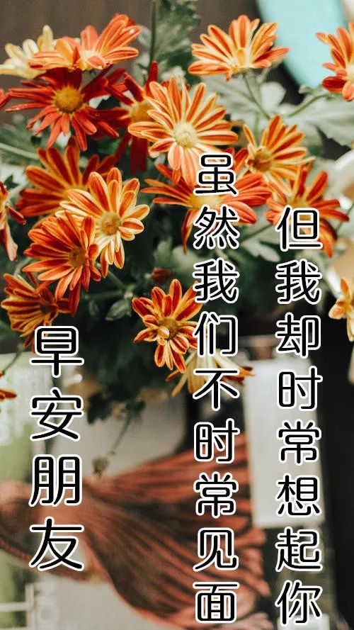 11月8日最漂亮早上好動態表情圖片大全,早晨好動圖美圖大全