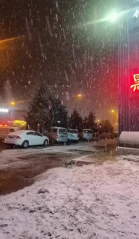 立冬夜,哈尔滨鹅毛大雪飘!大雪还将覆盖这些地方