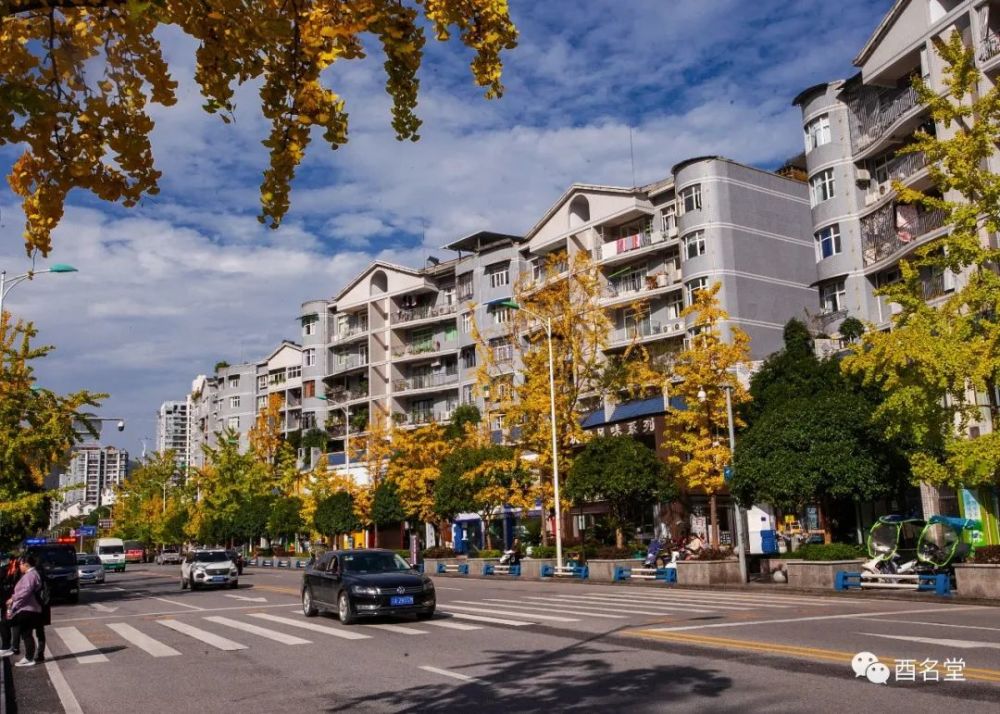 在酉阳县城逛一逛,惊艳了!