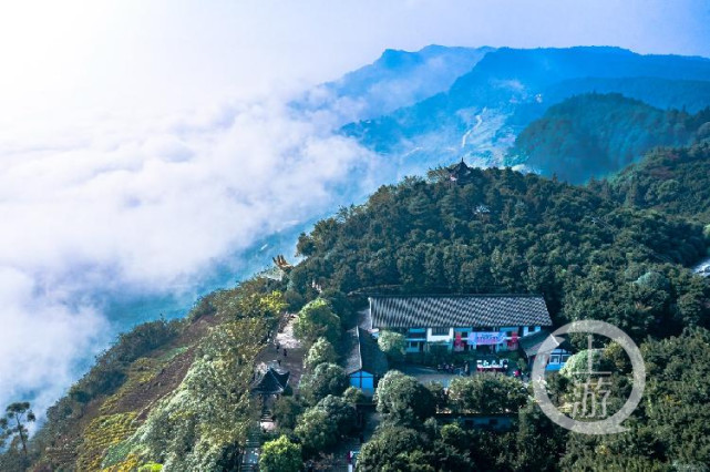 扶贫助农土货节暨首届重庆樵坪红豆杉文化节在重庆市巴南区樵坪新式