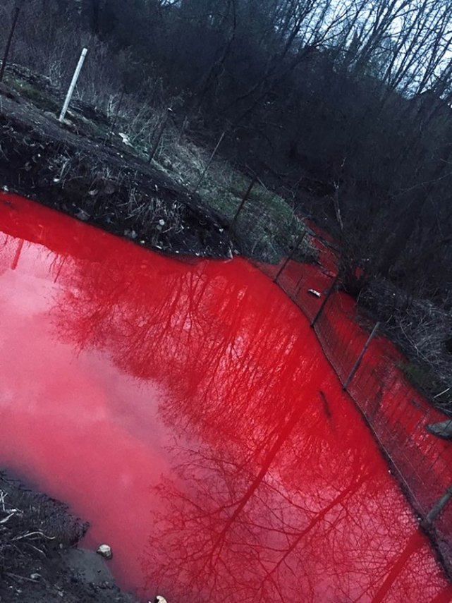 俄罗斯河流一夜之间变血河河水血红一片网友共和党人眼泪