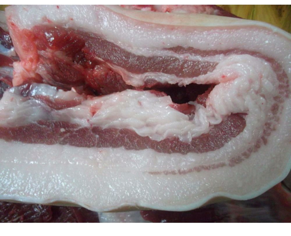 降价!十几元一斤猪肉重现市场