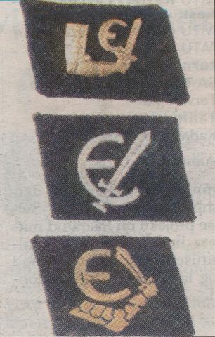 千变万化的纳粹党卫队领章,到底藏有什么猫腻?