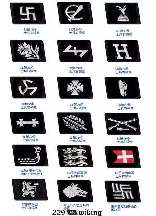 纳粹十大王牌师标志图片