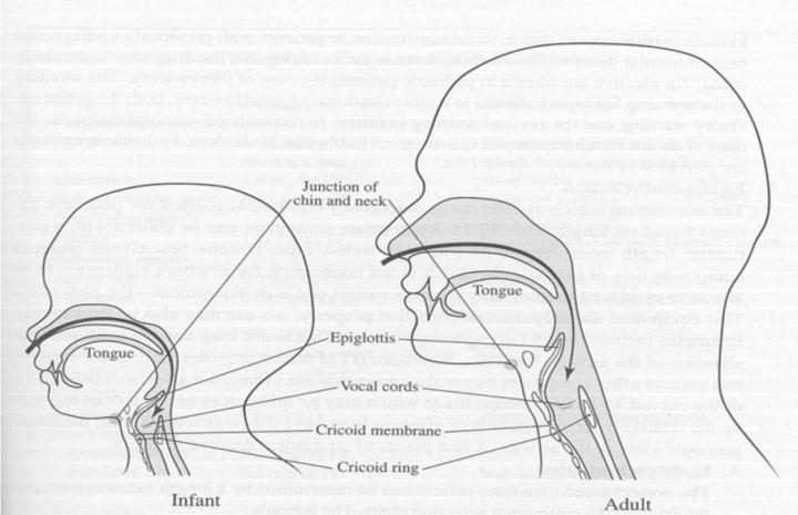满月婴儿在监护下戴脖圈在家中游泳窒息身亡!