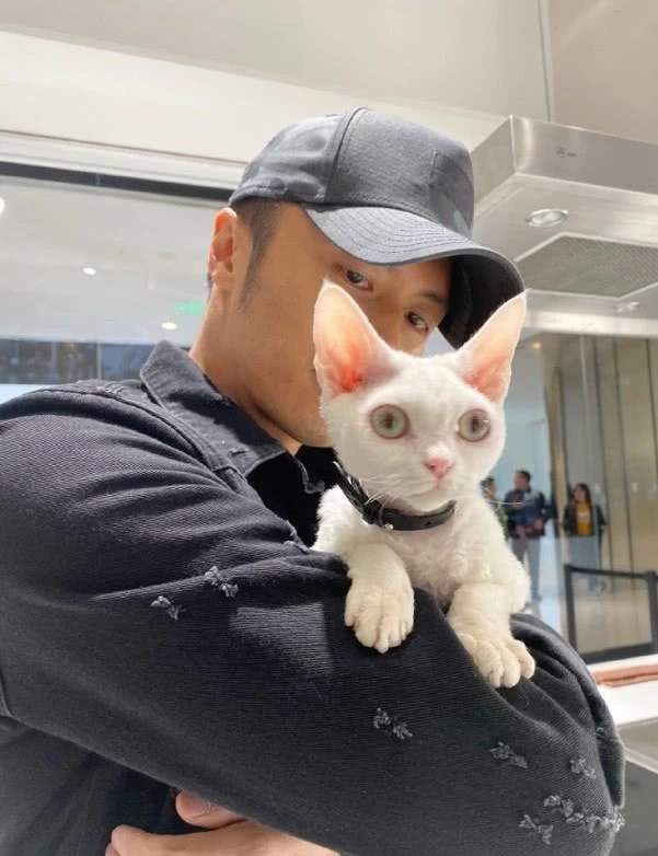 明星和他们的宠物 你最喜欢哪个 腾讯新闻