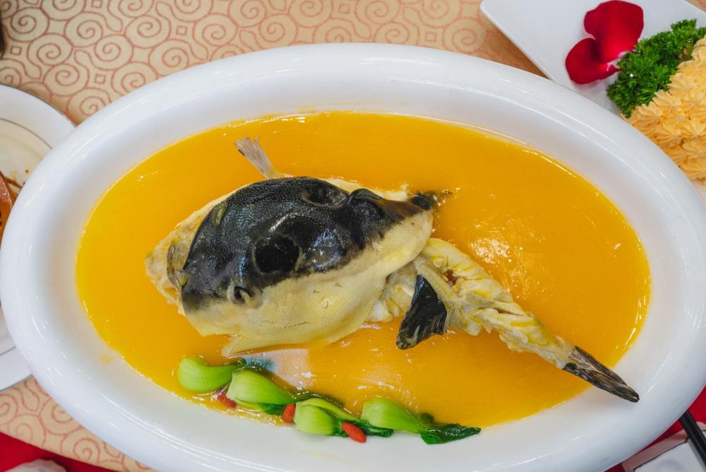 "河豚美味当前,谁还不是个行动派?"一个吃货的内心独白