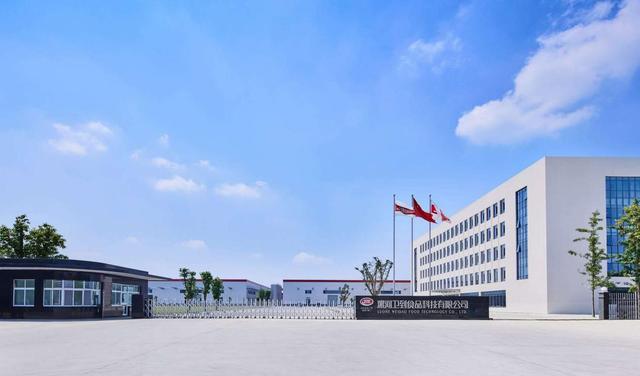 卫龙食品让世界人人爱上中国味一条行进中的龙